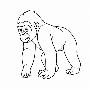 illustration of a gorilla on white background