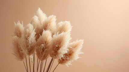 Fluffy Beige Pom Pom Plants Bouquet on Tan Background AI Generated