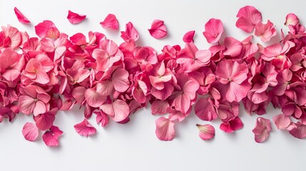 Parisian Vibes: Bright Pink Flower Petals on White Background AI Generated