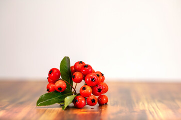 Firethorn berries with green leaves on a wooden table.