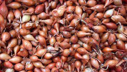 Onion seeds sold on the stall at the farmers' market.