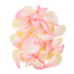 Heap of flower petals isolated on transparent white background