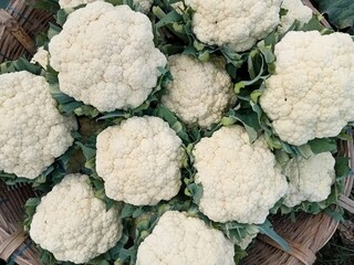 Cauliflower food in the beautiful garden nice photo.