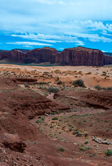 Fototapeta na wymiar Desert landscape with red rocks and dry vegetation on red sands in Monument Valley, Navajo Nation, Arizona - Utah