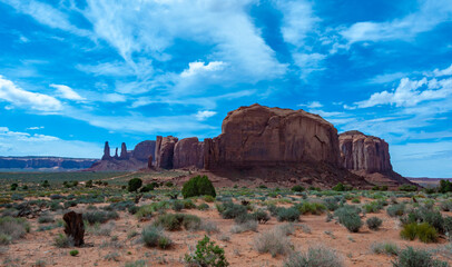 Fototapeta na wymiar Spiny drought-resistant desert vegetation on red sands In Monument Valley, Navajo Nation