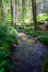 Fototapeta na wymiar Stream in the Bavarian Forest