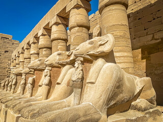 Karnak Temple is dedicated to the temple complex of Ancient Egypt. Thebes, Karnak, Luxor, Egypt