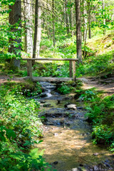  Stream in the Bavarian Forest