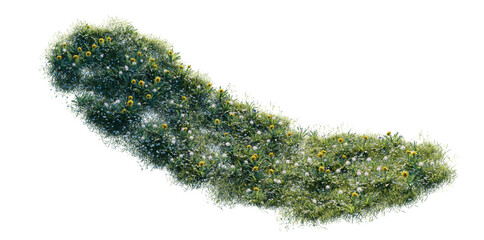 grass with flowers, isolate background, no background grass and flower