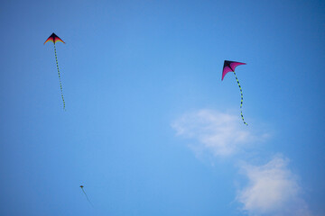 Fototapeta na wymiar Kites flying in the cloudy blue sky