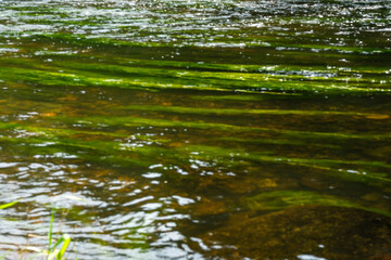  River Rain Regen in the Bavarian Forest