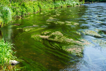 River Rain Regen in the Bavarian Forest