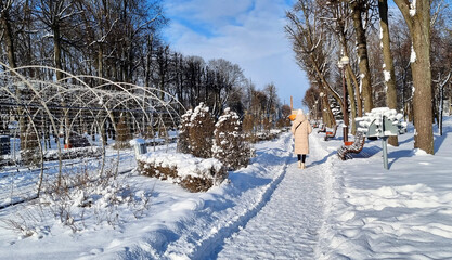 Landscape shot of the winter village. Season