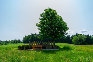 Rest Area in the Bavarian Forest