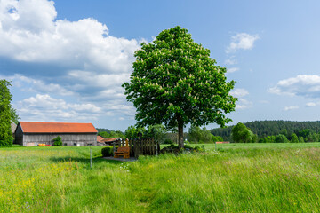 Rest Area in the Bavarian Forest