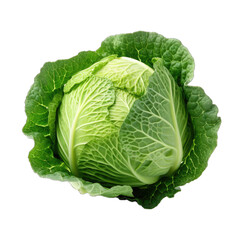 Fototapeta premium A Head of Green Cabbage Used in Various Dishes.. Isolated on a Transparent Background. Cutout PNG.