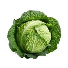 A Head of Green Cabbage Used in Various Dishes.. Isolated on a Transparent Background. Cutout PNG.