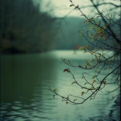 Nature, landscape. Forest, glade, grass, flowers, natural landscape. Photowallpaper.
