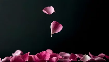 Fotobehang 舞い落ちるバラの花びら © ベルベットR