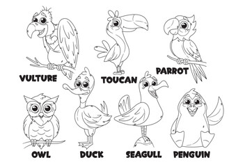 Outline Cartoon Funny Bird Characters Monochrome Icons Set. Vulture, Toucan, Parrot and Owl, Duck, Seagull or Penguin