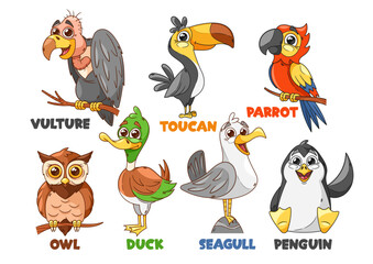 Cartoon Funny Bird Characters. Vulture, Toucan, Parrot and Owl, Duck, Seagull or Penguin Colorful Cute Avian Personages
