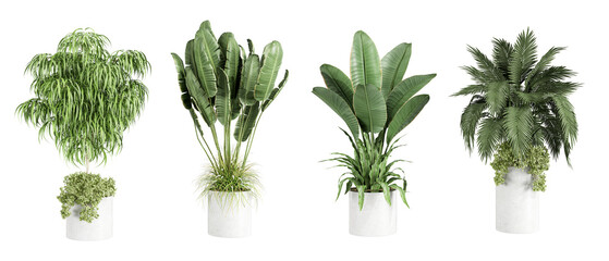 Plants in 3d rendering. Beautiful plant in 3d rendering isolated isolated	
