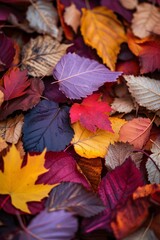 Naklejka na ściany i meble Autumn Leaves on the Ground Generative AI