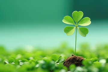 Clover on a green background. A stem with leaves grows from ground. Soil and green plant. Clover for good luck. Saint Patrick's Day