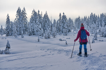nice and active senior woman hiking with snow shoes in deep powder snow in the Hochhaedrich area of...
