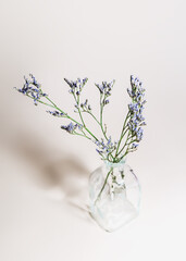 purple limonium flowers in a glass vase on a pale pink background. floral background