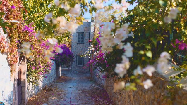 Stone streets of the old town of Datca in Turkey, decorated with bright flowers. bougainvillea flowers