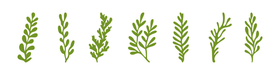 Ocean plants marine green foliage vector set - obrazy, fototapety, plakaty
