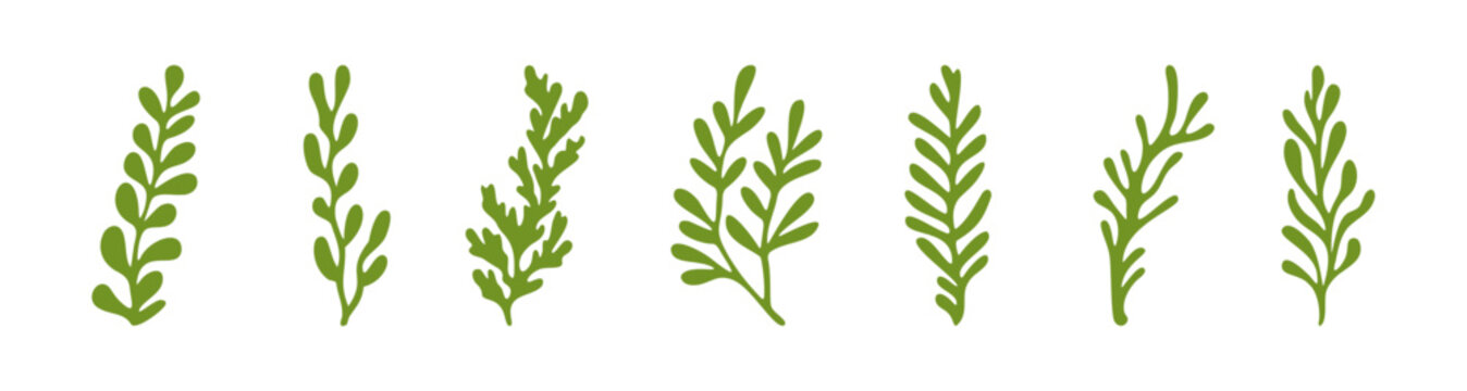Ocean plants marine green foliage vector set