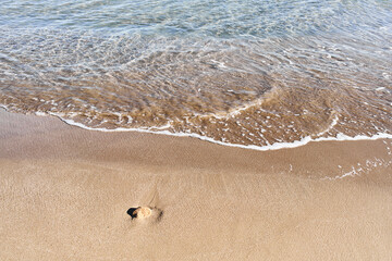 A serene beach scene with clear water gently lapping over golden sand and a solitary stone.