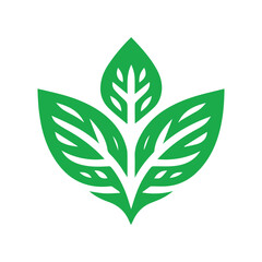 leaf logo vector element, leaf logo vector template, leaf logo illustration