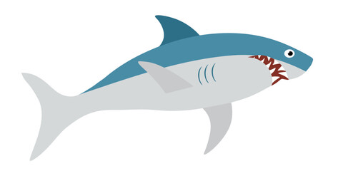White shark cartoon vector illustration. Predatory fish