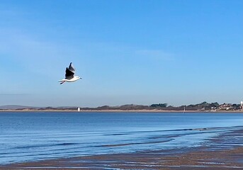 kite surfing on the beach