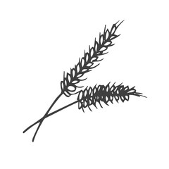 Wheat black icon on white background doodle style