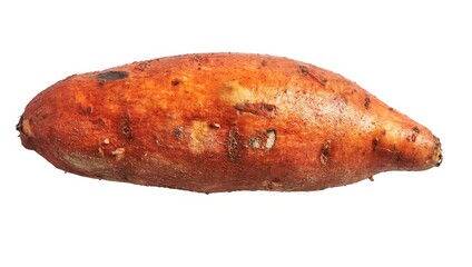 Isolated sweet potato on white background exhibiting natural texture, colors, and shape.