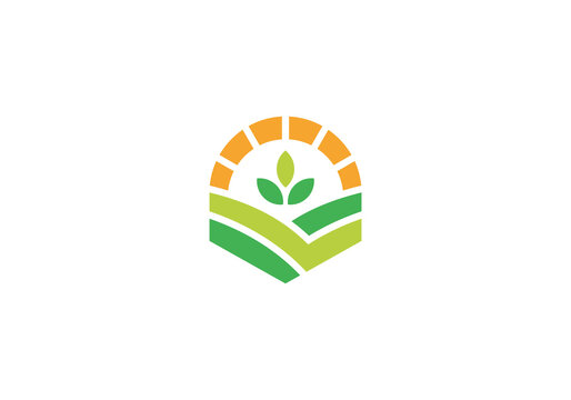 leaf with sun logo, creative agriculture farm design symbol template	
