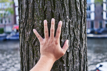 Man's hand touching a rough tree bark in an urban setting with blurred background, conveying...