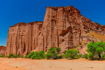 The sheer sandstone walls of the Talampaya Canyon, Talampaya National Park, La Rioja, Argentina. © Pedro