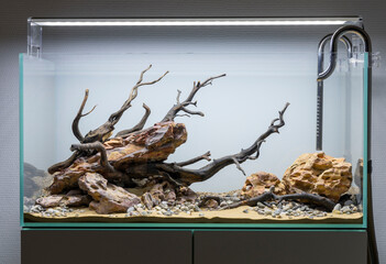 dragon stone and wood aquascape setup in an aquarium tank, design before planting setup