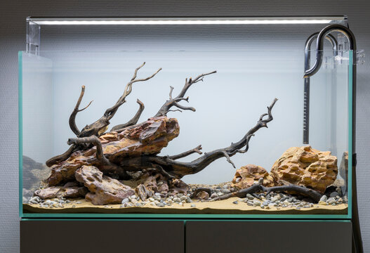 dragon stone and wood aquascape setup in an aquarium tank, design before planting setup