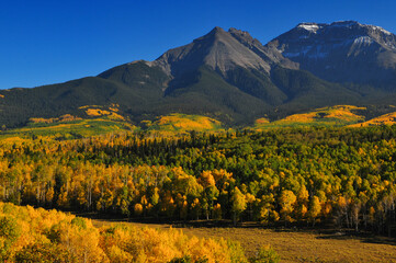 Obraz premium Late afternoon light on fall colors up the slopes of Whitehouse Mountain and Corbett Peak and ridge on the Sneffels Range of the San Juan mountains, from a country road near Ridgway, Colorado, USA.