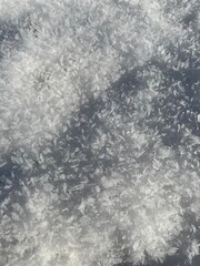 Closeup of large snow crystals