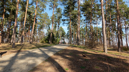 Promenade dans le parc du Jardin Botanique à Prague