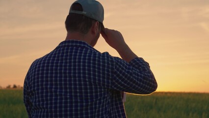 Farmer with computer tablet evaluates green wheat sprouts in field at sunset. Ecologically clean grain. Technology of modern agriculture, farmer working on field with digital tablet in agriculture