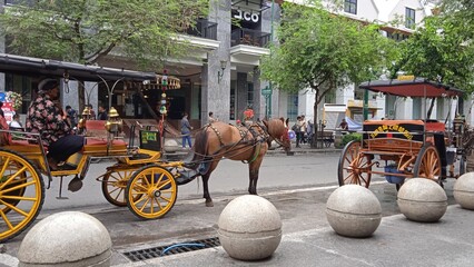 horse carriage in the city