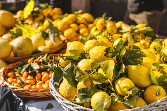 Zitronenfest in Menton &ndash; Karneval der Sinne in Frankreich